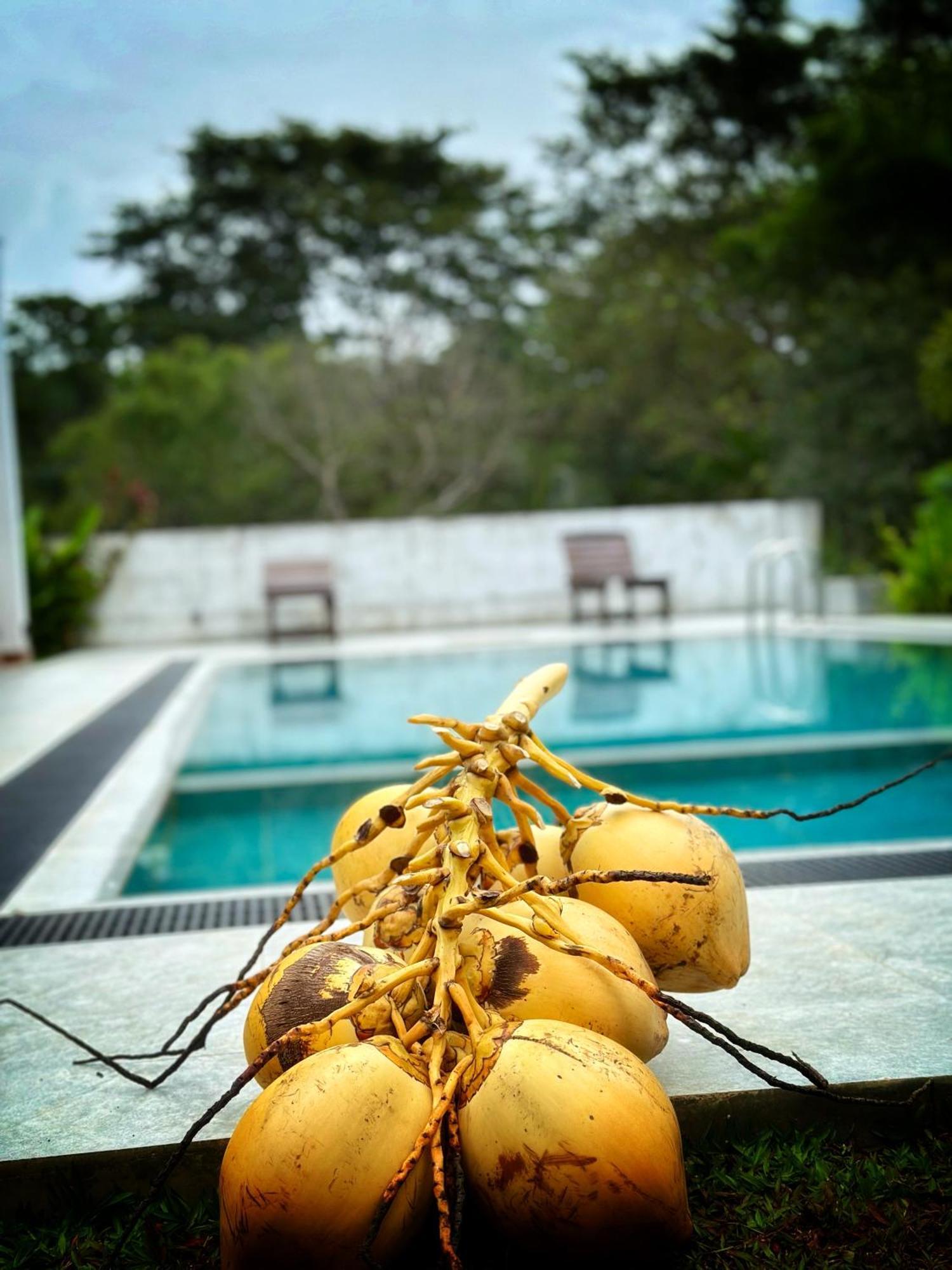 Finch Тангалла Экстерьер фото